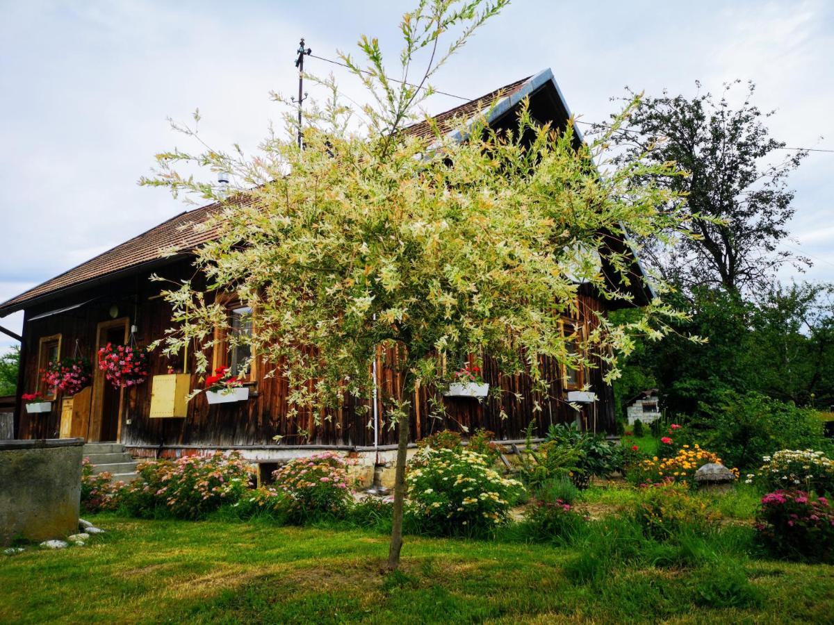 Wies Odnowa Labowa Exterior photo