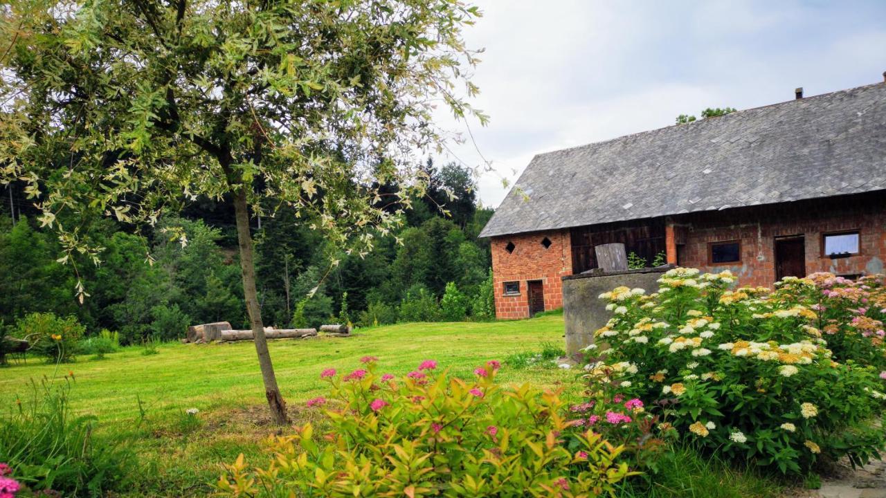 Wies Odnowa Labowa Exterior photo