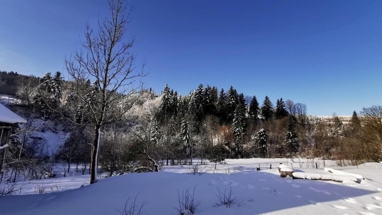 Wies Odnowa Labowa Exterior photo