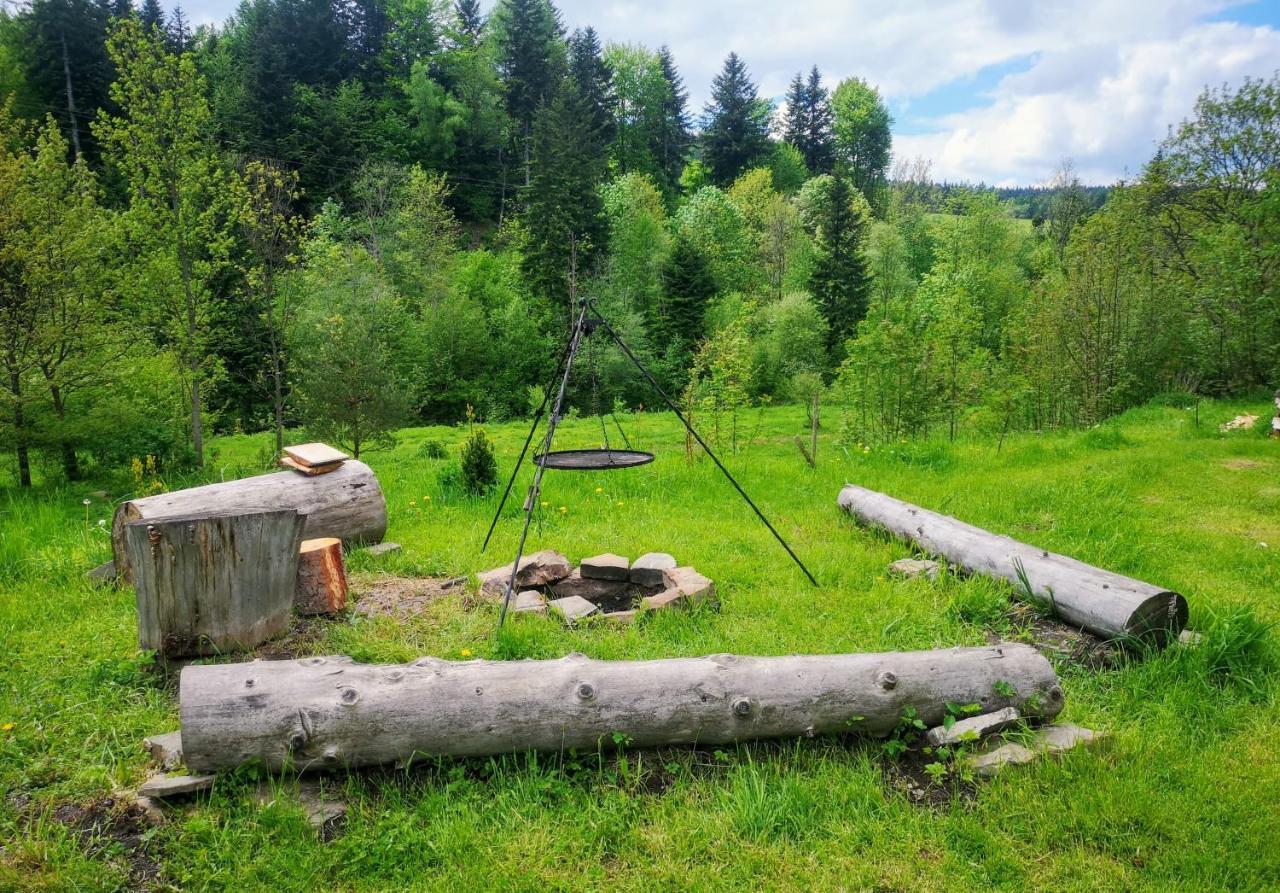 Wies Odnowa Labowa Exterior photo