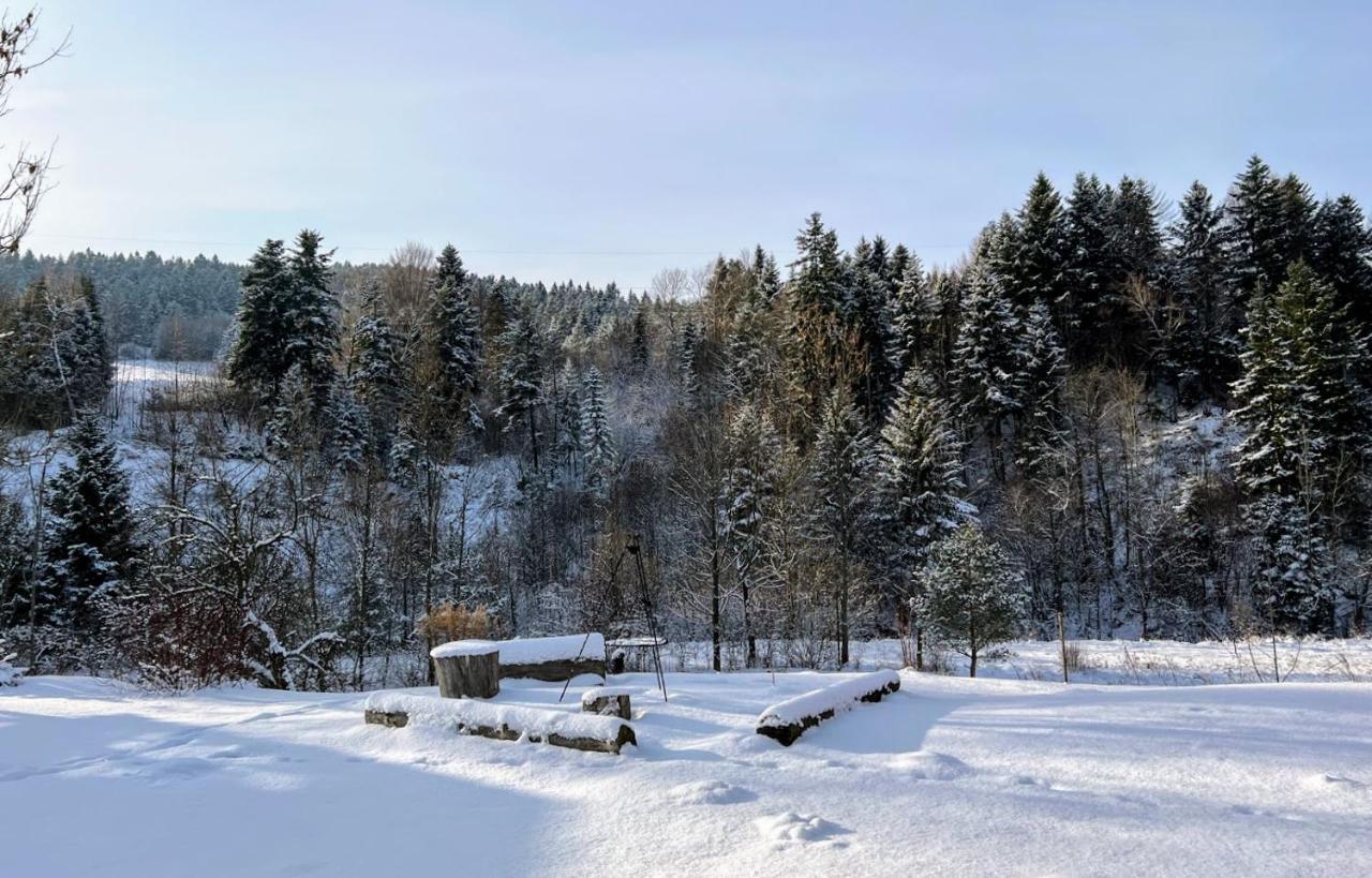 Wies Odnowa Labowa Exterior photo